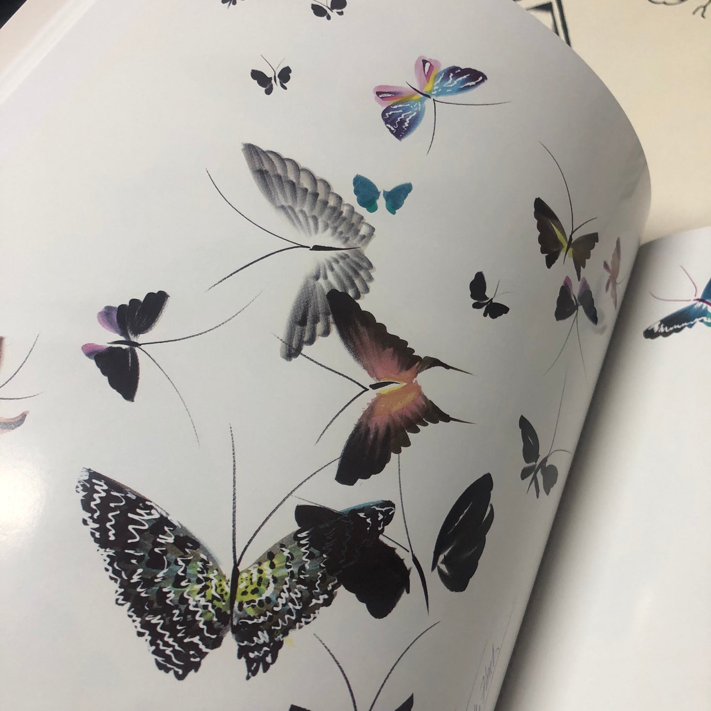 Butterfly Flash
