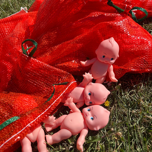 Bag’O Babies