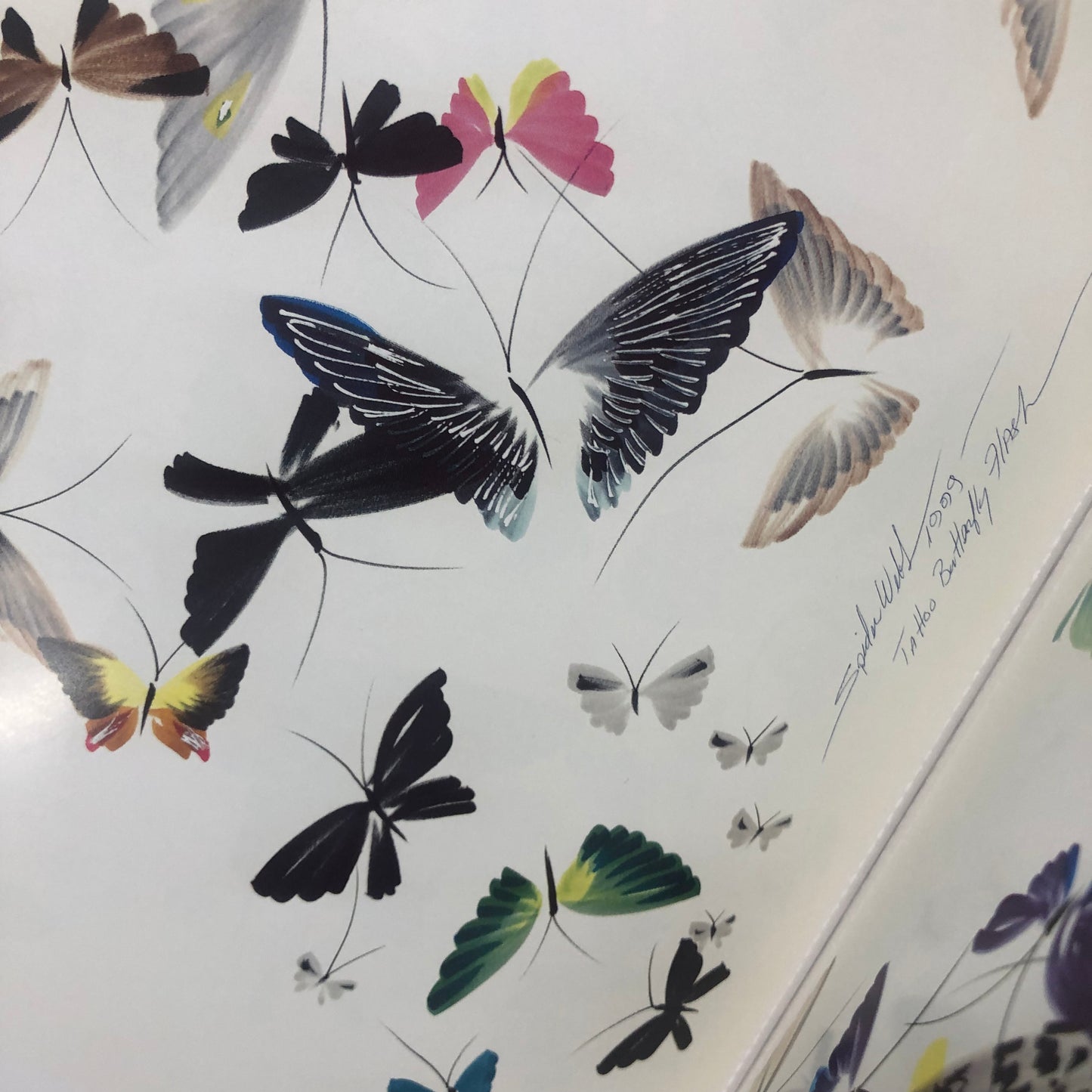 Butterfly Flash