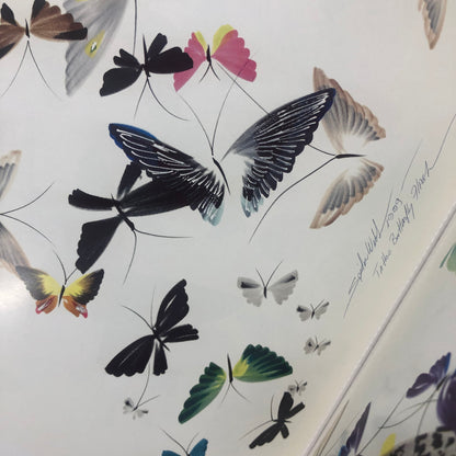 Butterfly Flash