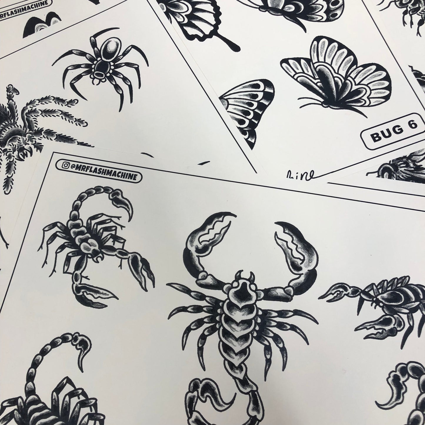 Bug Set